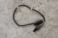 k-IMG_7038.JPG k-IMG_7038.JPG