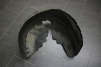 k-IMG_4007.JPG k-IMG_4007.JPG