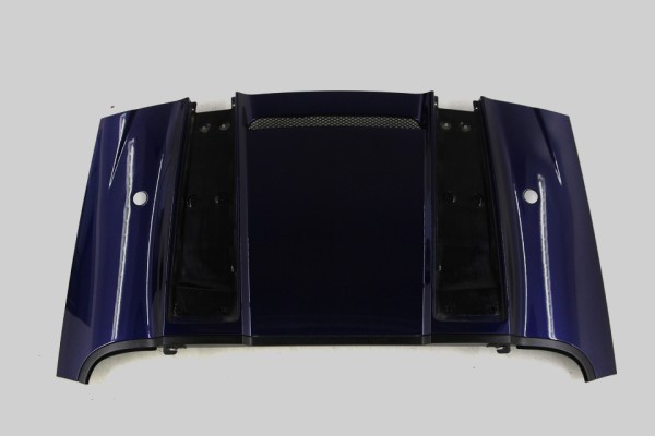 Audi R8 Spyder Verdeckkastendeckel 427825300A Verdeck Deckel Verdeckkasten LX5P